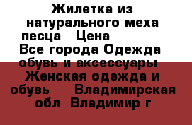 Жилетка из натурального меха песца › Цена ­ 18 000 - Все города Одежда, обувь и аксессуары » Женская одежда и обувь   . Владимирская обл.,Владимир г.